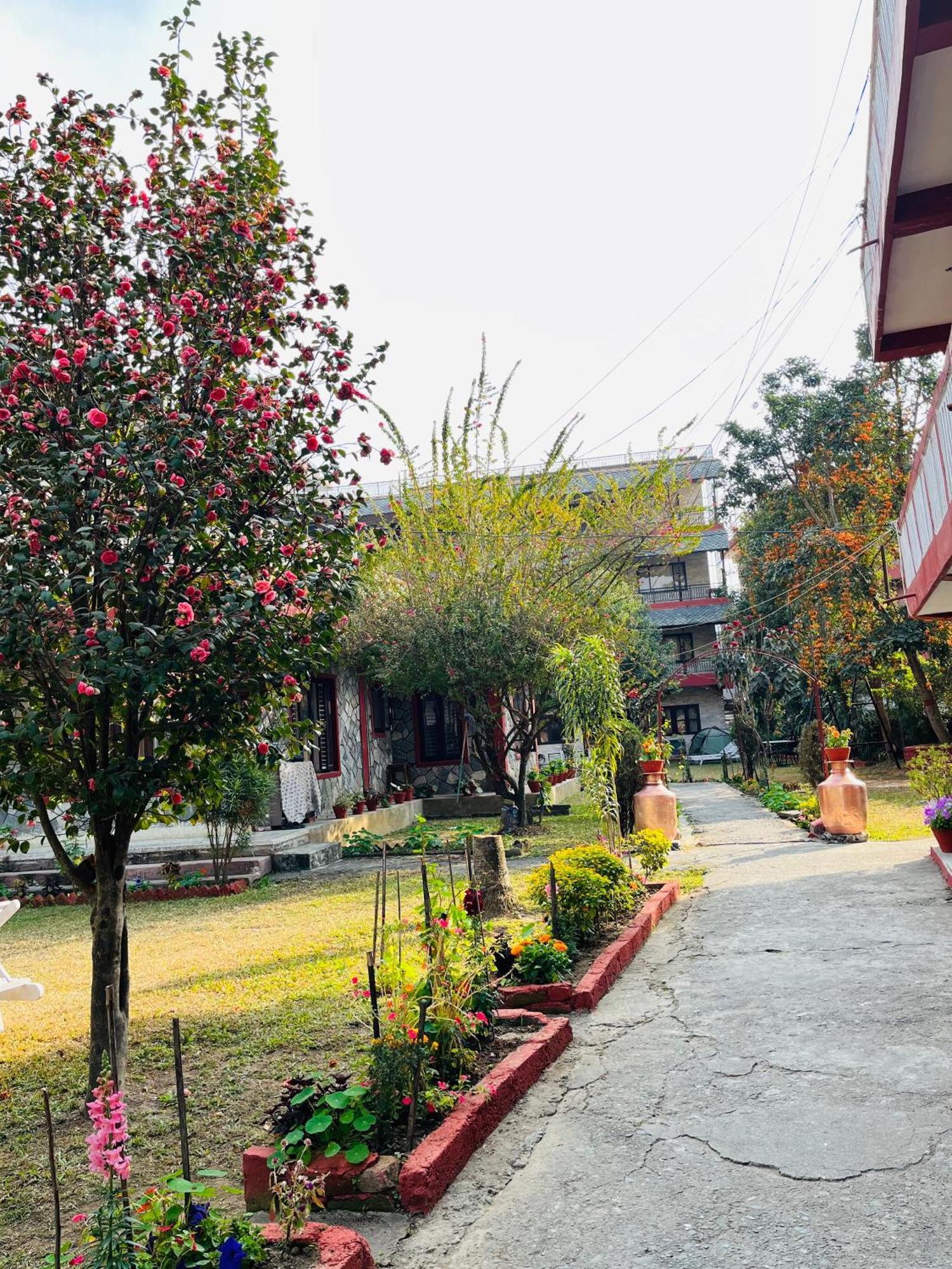 Butterfly Hotel 2*